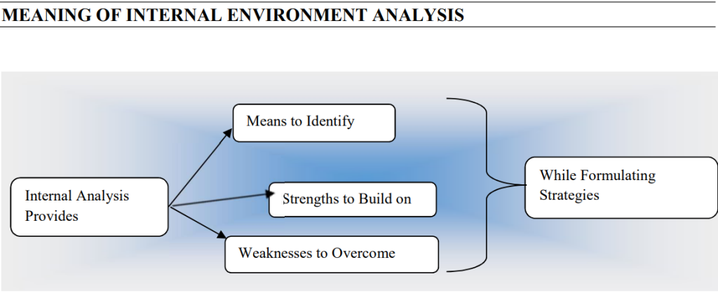 internal environmental analysis
