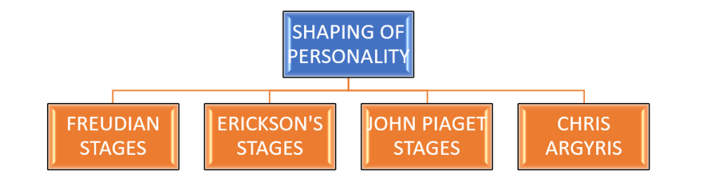 Different types of personality theory