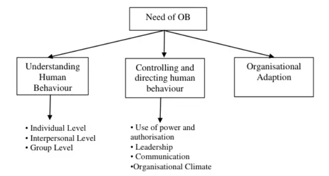 Why study OB? , importance of OB, importance of organizational behaviour